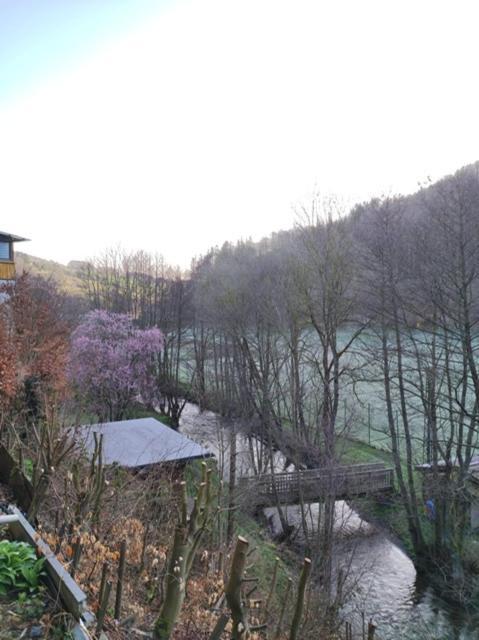 Ferienwohnung Lange Brilon Exterior foto